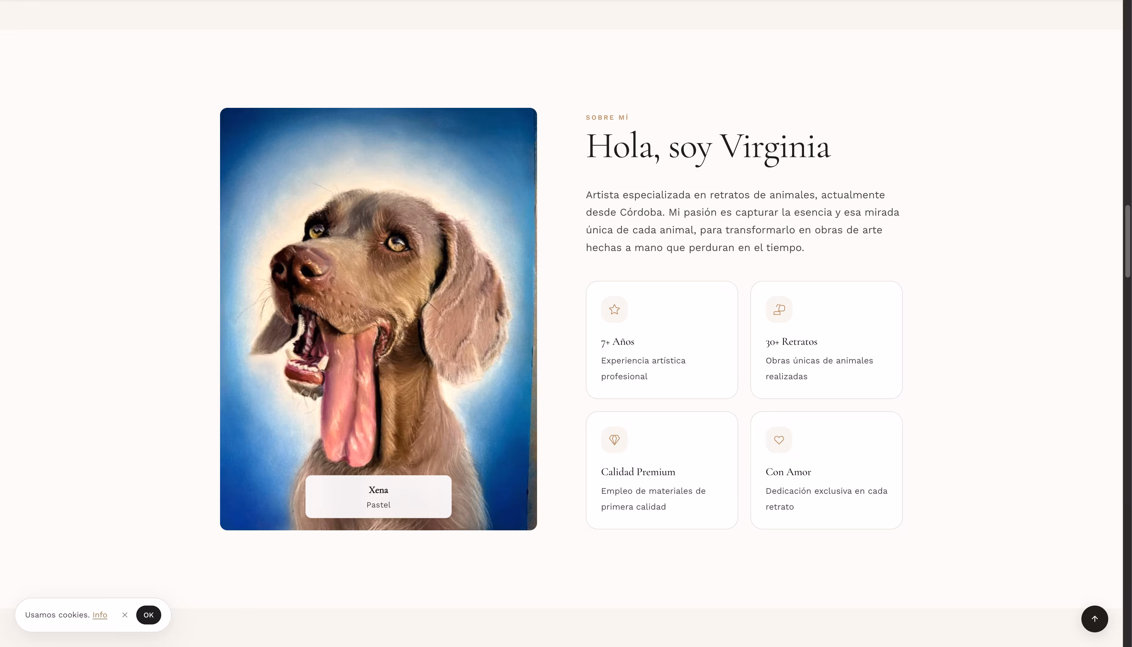 Wanda Animalart — portada con retratos de mascotas